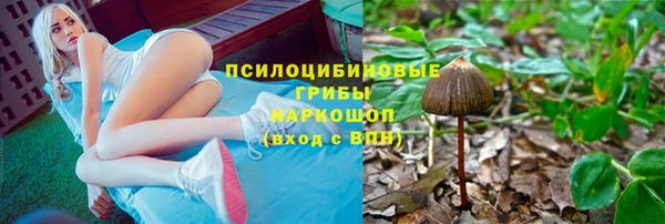 2c-b Липки