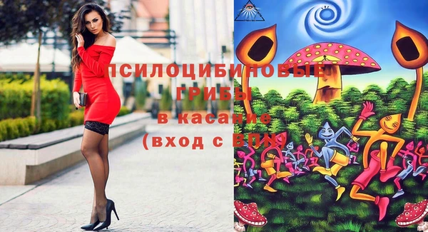2c-b Липки