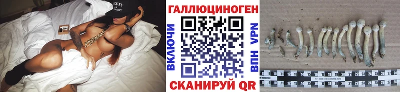 Купить  Певек  Галлюциногенные грибы Psilocybine cubensis 